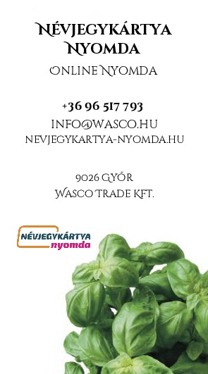 Bazsalikom fehér háttéren