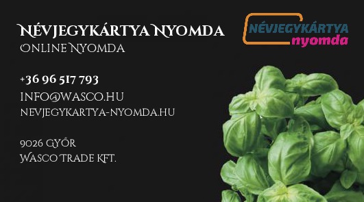 Bazsalikom fekete háttéren